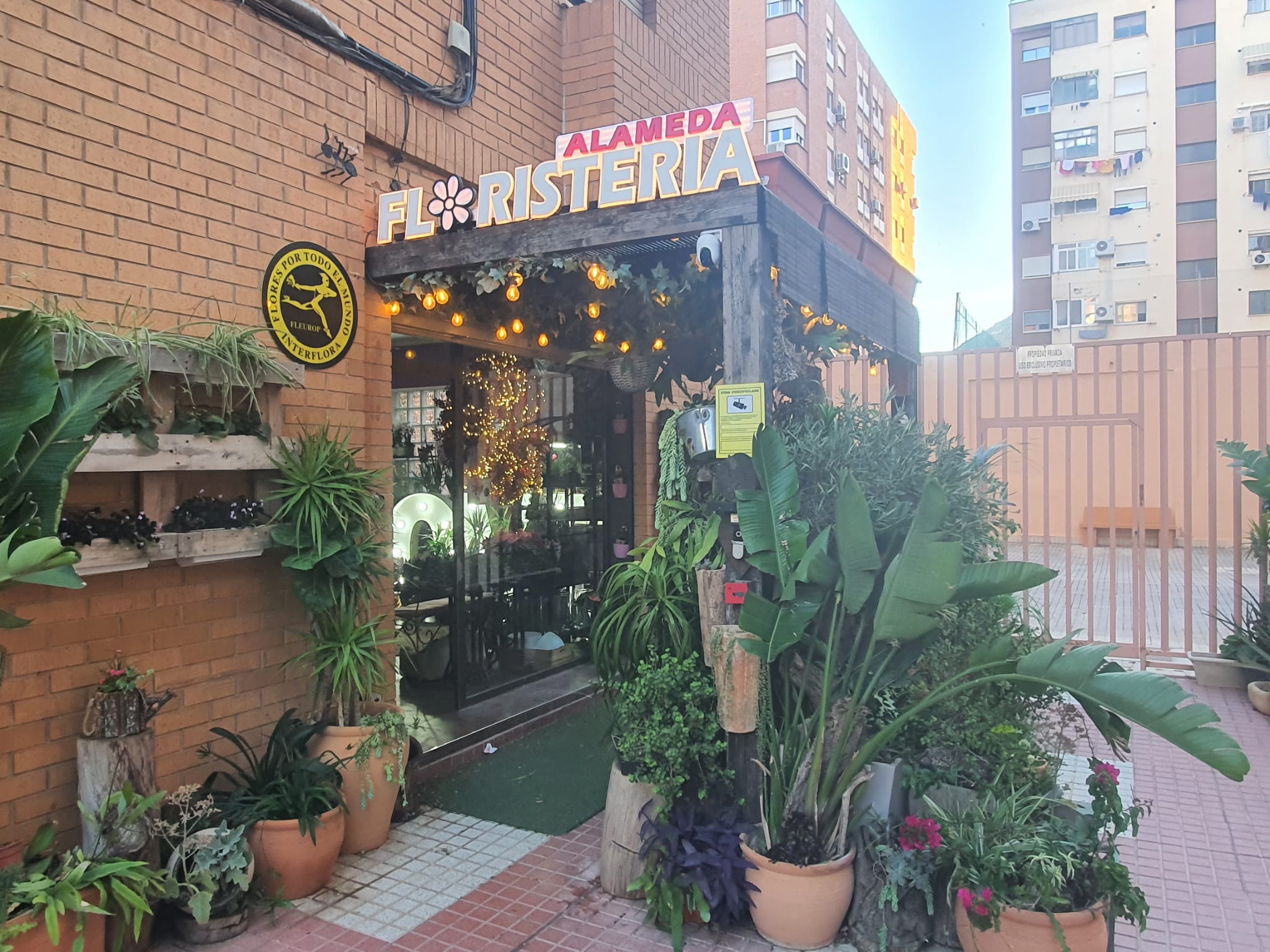 Fachada de Floristería Alameda en Cartagena, entrada decorada con plantas tropicales e iluminación cálida